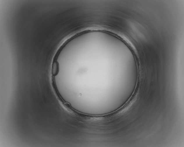 X0000111840845200907231037