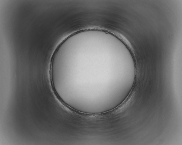 X0000111840847200907231037