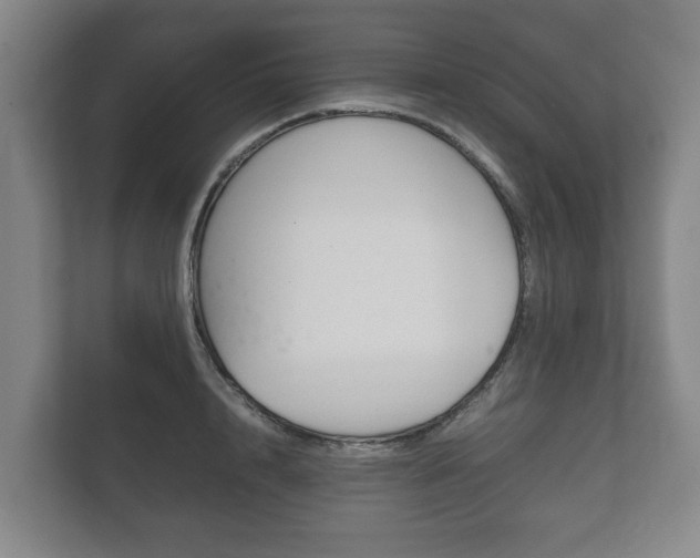 X0000111840848200907231037