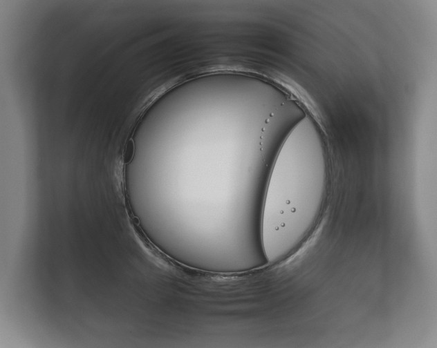 X0000111840849200907231038