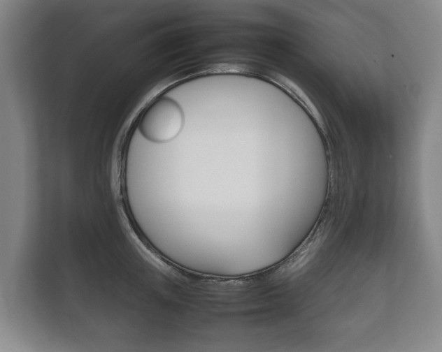 X0000111840851200907231038