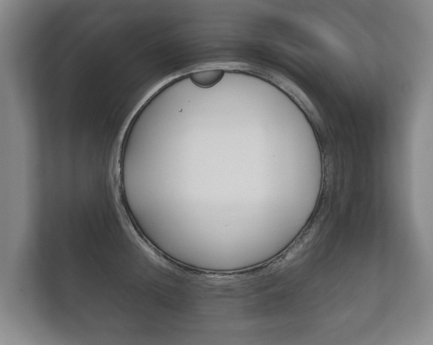 X0000111840852200907231038