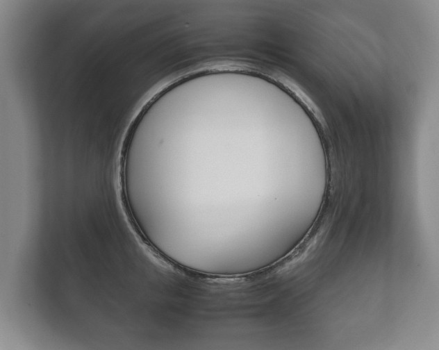 X0000111840853200907231038