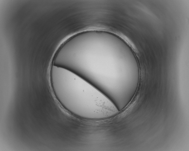 X0000111840854200907231038