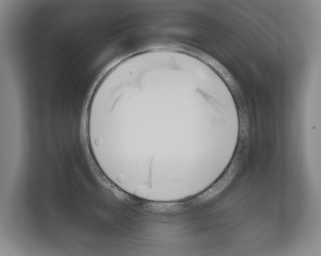X0000111840856200907231038