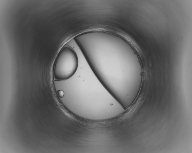 X0000111840858200907231038