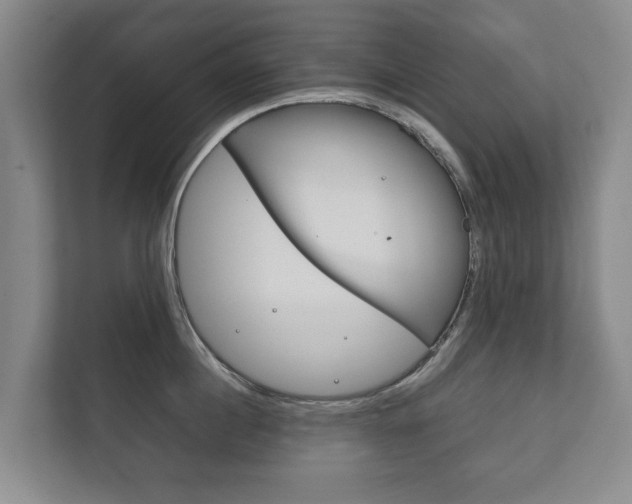 X0000111840860200907231038