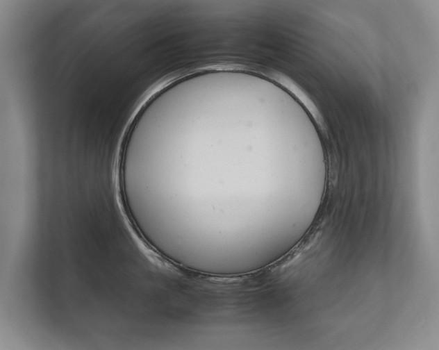 X0000111840861200907231038