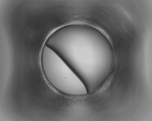 X0000111840862200907231038