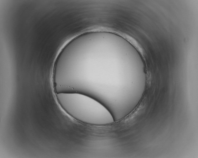 X0000111840863200907231038