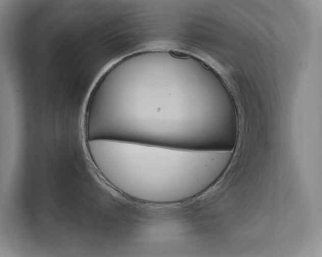 X0000111840864200907231038
