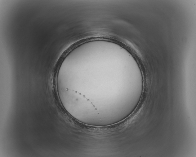 X0000111840875200907231037