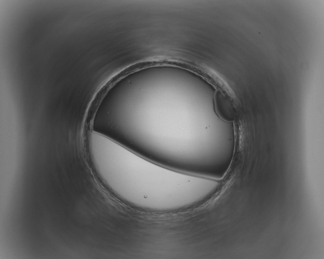 X0000111840876200907231037