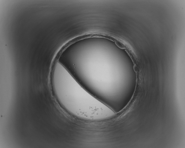 X0000111840880200907231037