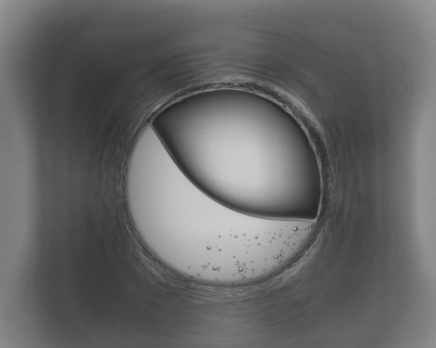 X0000111840881200907231037