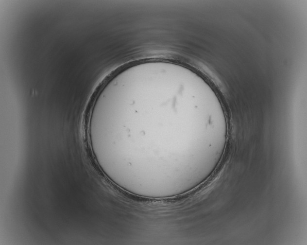 X0000111840883200907231037