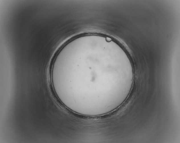X0000111840887200907231037