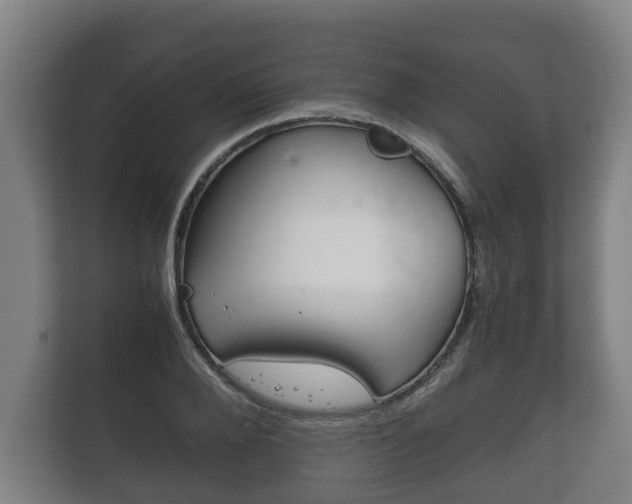 X0000111840888200907231037