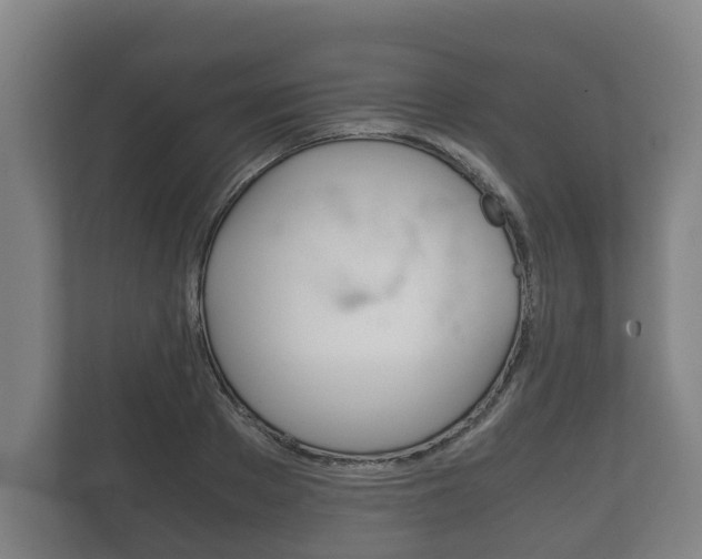 X0000111840889200907231037