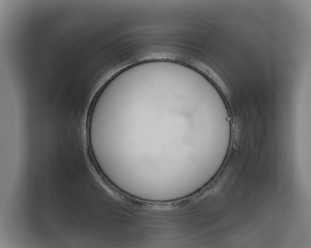 X0000111840890200907231037