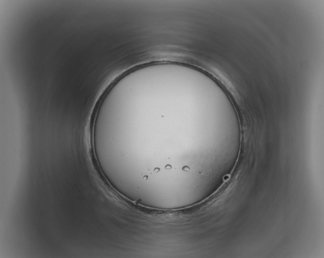 X0000111840891200907231037