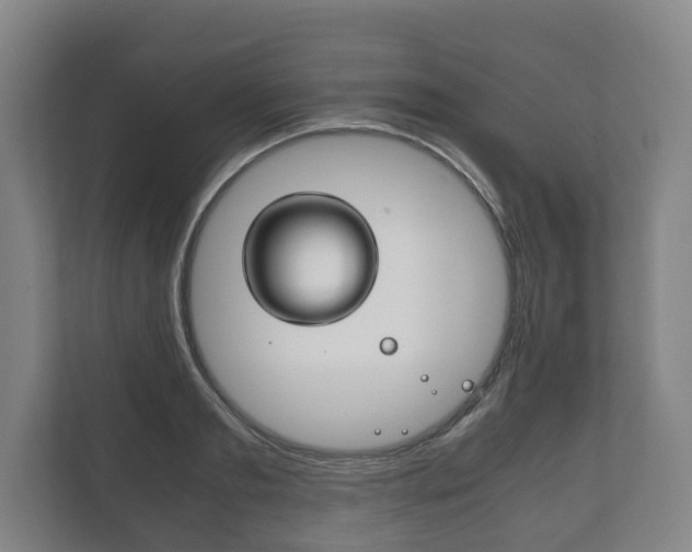 X0000111840893200907231037