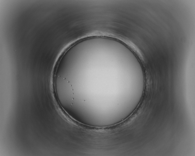 X0000111840896200907231037