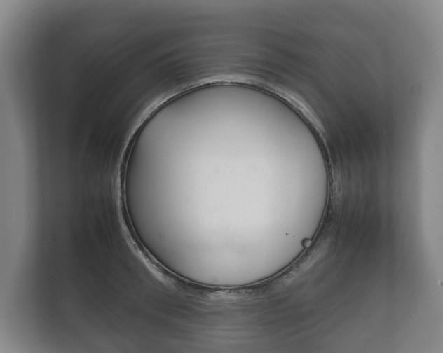 X0000111840898200907231037