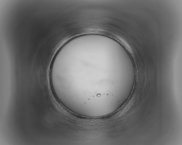 X0000111840899200907231037
