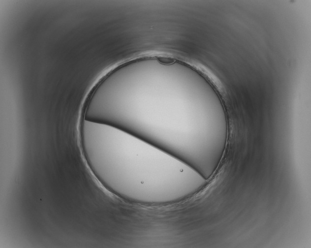 X0000111840902200907231037