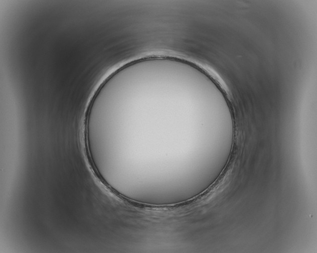 X0000111840903200907231037