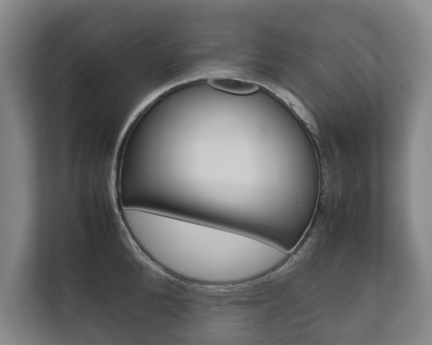 X0000111840904200907231037