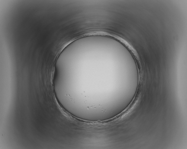 X0000111840905200907231037