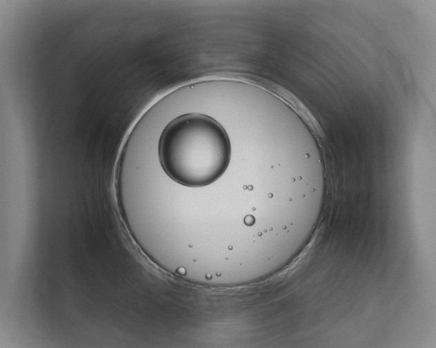 X0000111840908200907231037