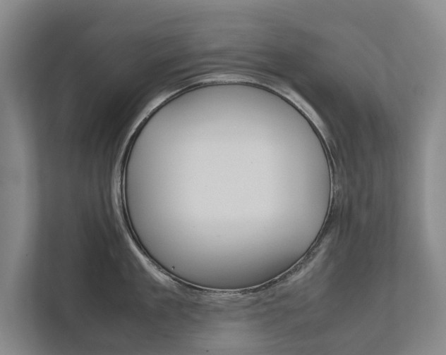 X0000111840909200907231037