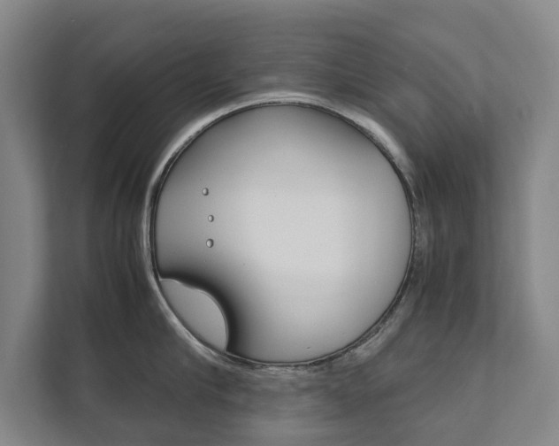X0000111840910200907231036
