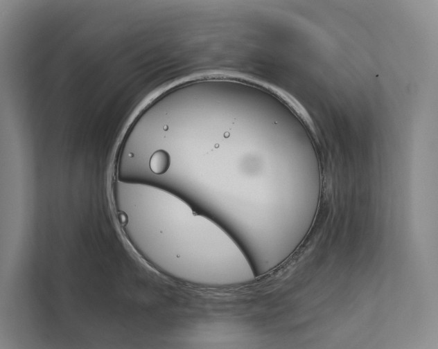 X0000111840911200907231036
