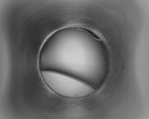 X0000111840912200907231036