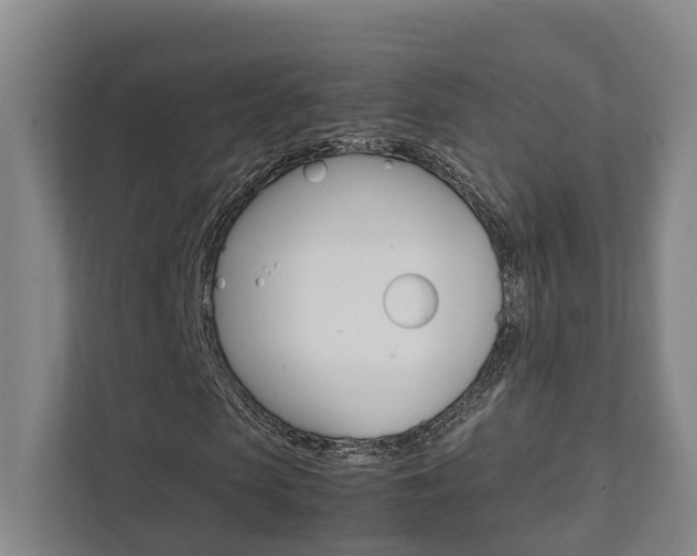 X0000111840913200907231036