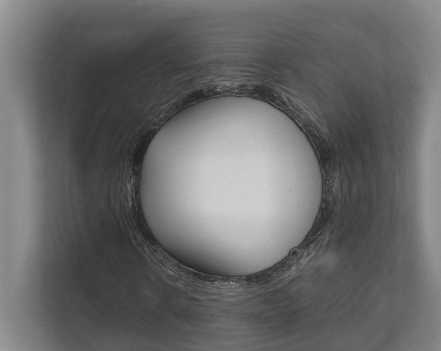 X0000111840914200907231036