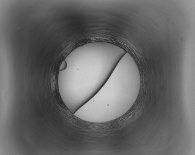 X0000111840915200907231036