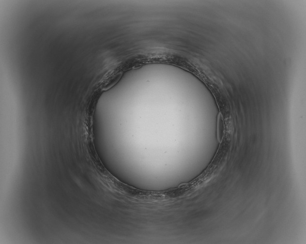X0000111840916200907231036