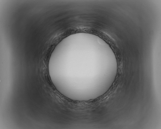 X0000111840917200907231036