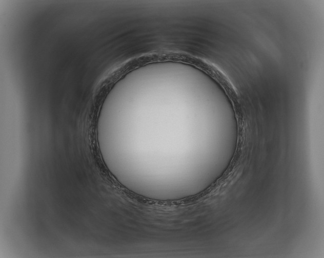 X0000111840919200907231036