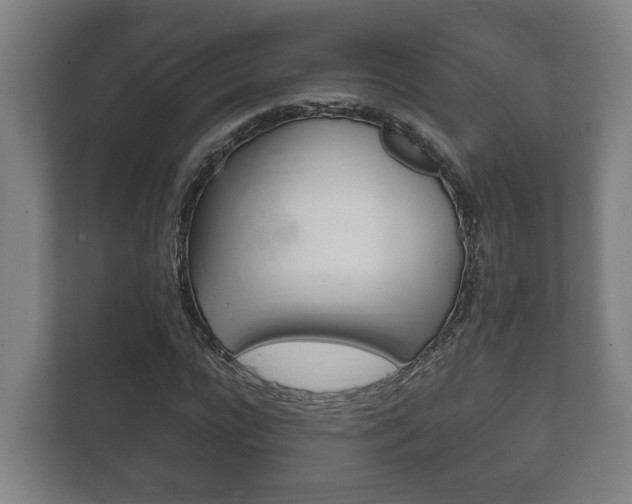 X0000111840920200907231036