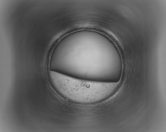 X0000111840922200907231036