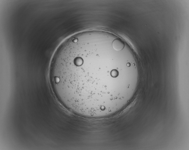 X0000111840924200907231036