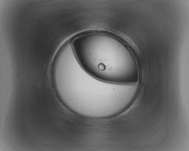 X0000111840926200907231036