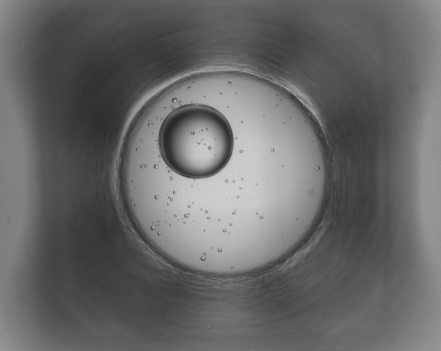 X0000111840928200907231036