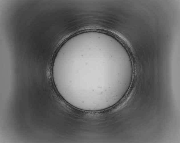 X0000111840929200907231036